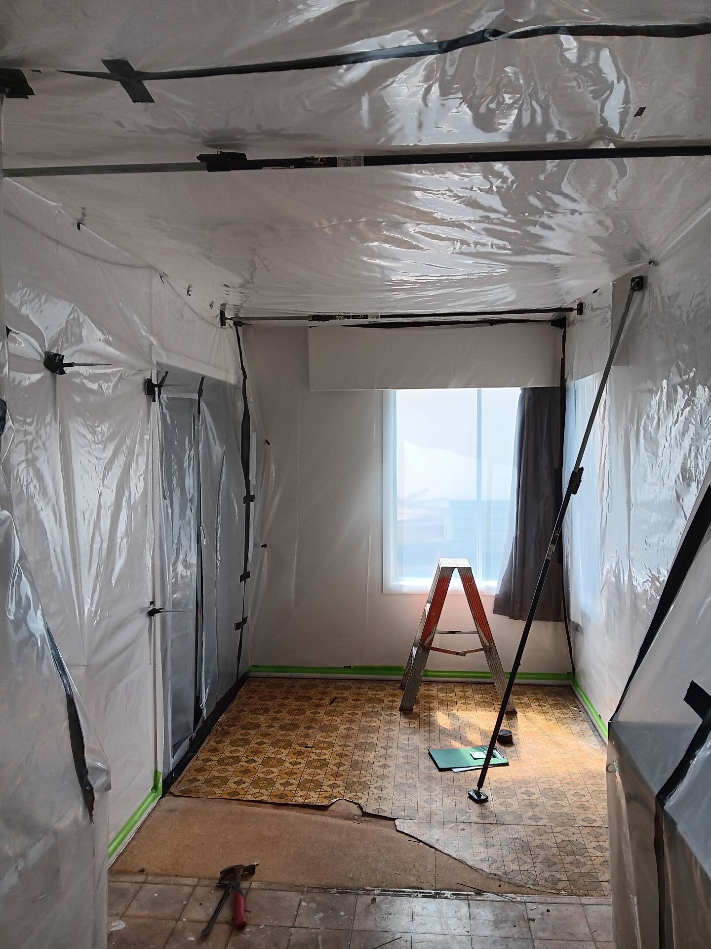 Moss and mould remover | Contact AR Plus today